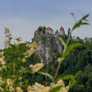 Bled - Castle